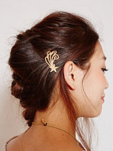 スターリーヘアピン